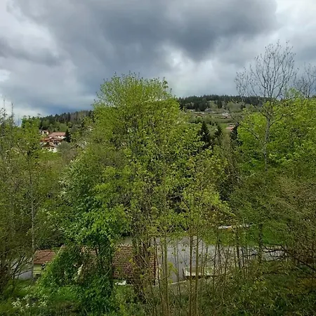 Studio Apartman Gérardmer